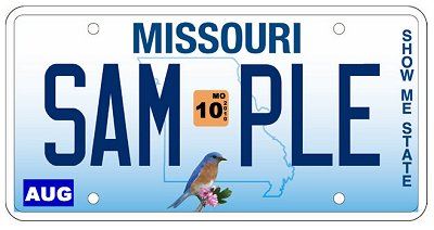 Sample License Plate