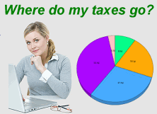 Where Your Taxes Go